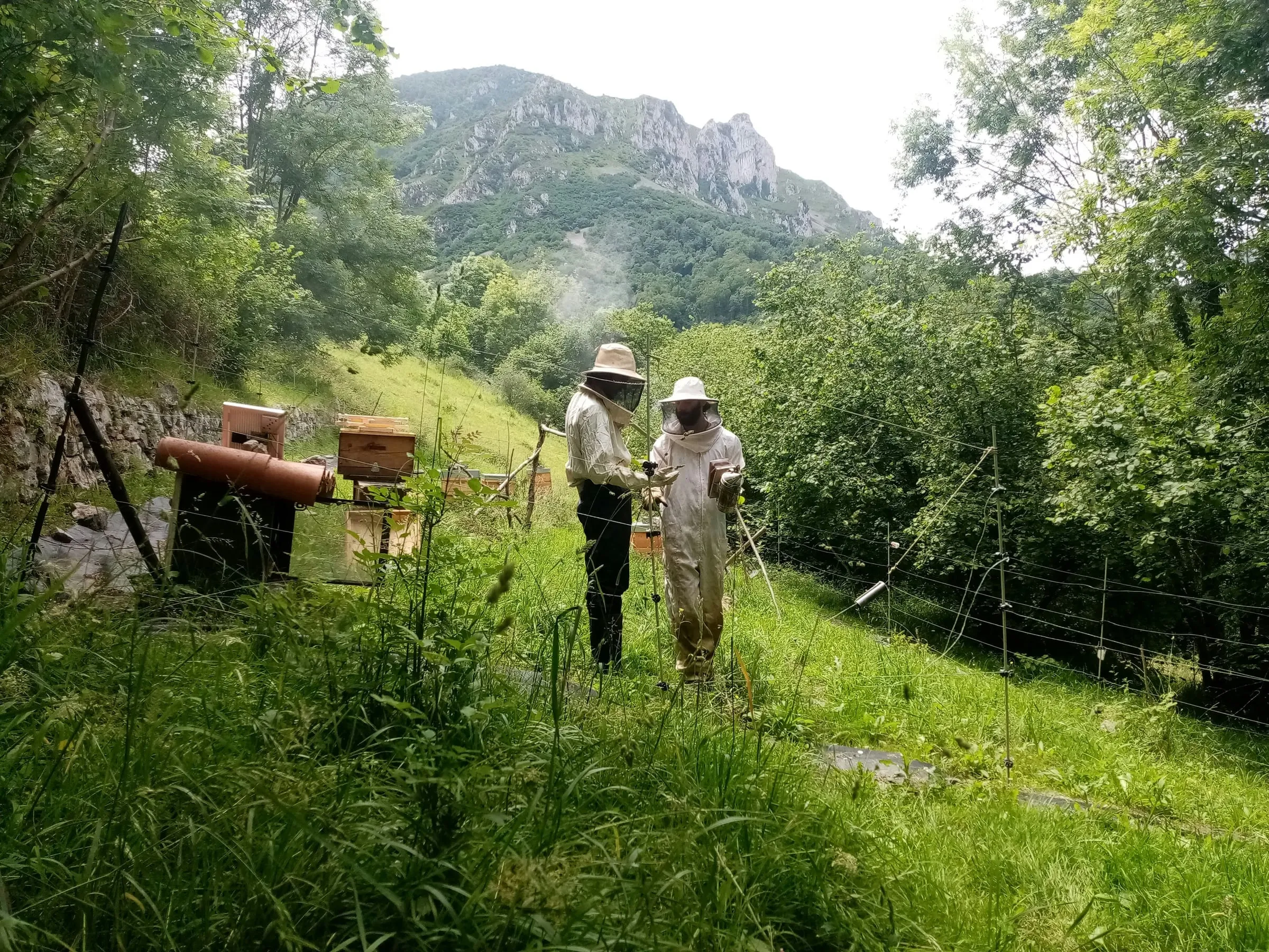 Beekeepers walking out to hives in a green field