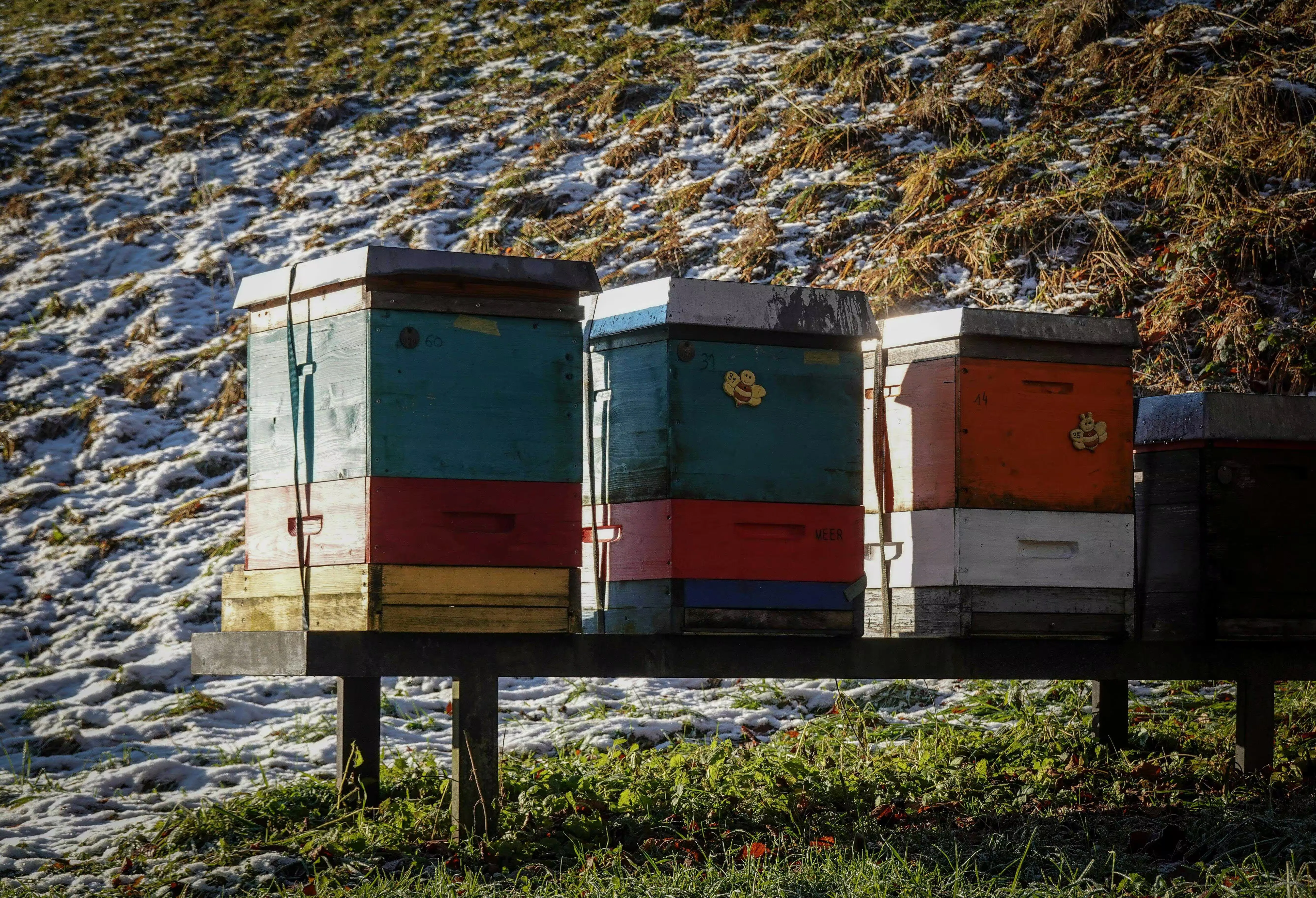 A row of painted beehives on a stand in a field